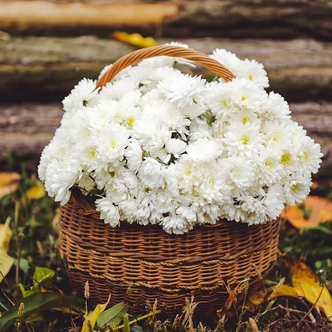 Natural eco-friendly funeral tribute with willow and moss